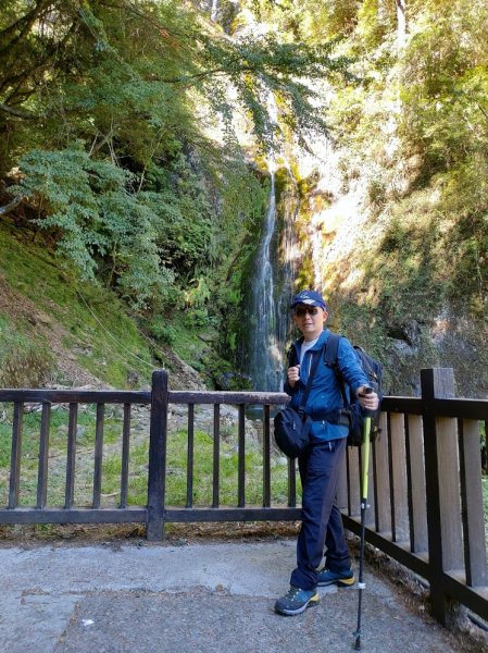 如童話般的森林步道-武陵桃山瀑布步道1190834