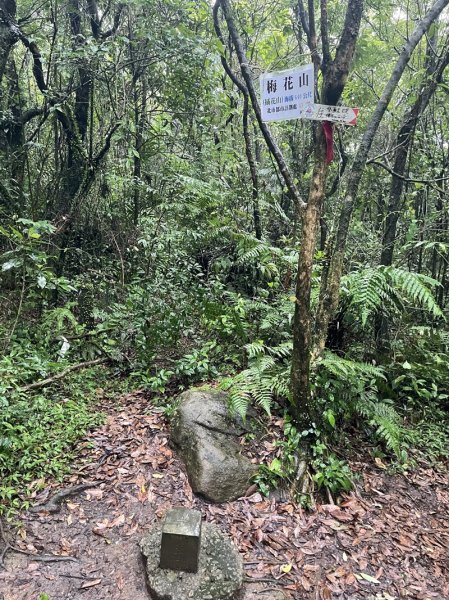 台北大縱走第四段2798713