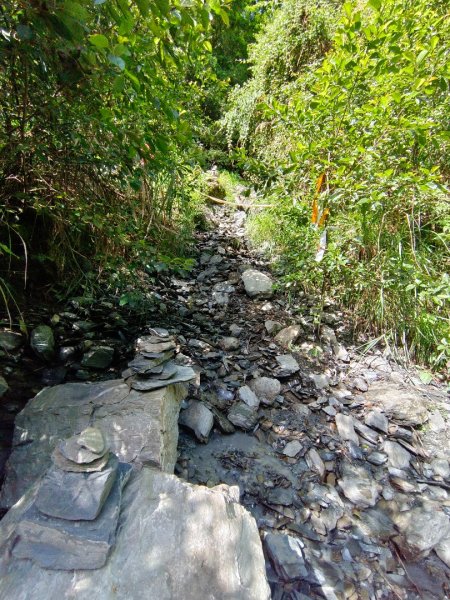 兩颱風之間空擋登屏風山巧遇保育類動物+出大景2237827