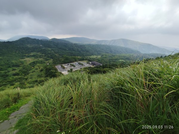 【臺北大縱走 2、3、4】冷水坑→七星山主東峰步道→冷擎步道→小油坑→鵝尾山→內湖許願步道2878892