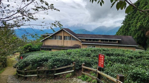 【中級山】有一種美，令人不想回家，新竹鵝公髻山2744663