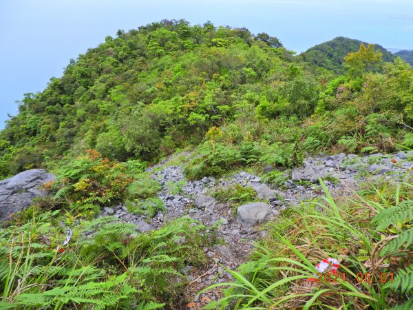 花蓮 秀林 千里眼山1368487