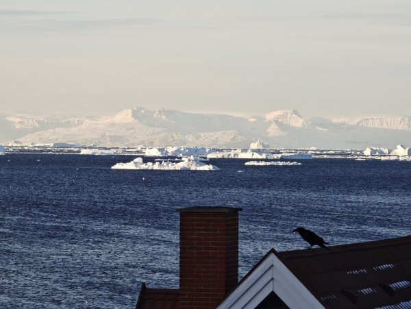 [紐約馬之行-33] 2025_1106 峽灣遊客中心2947928