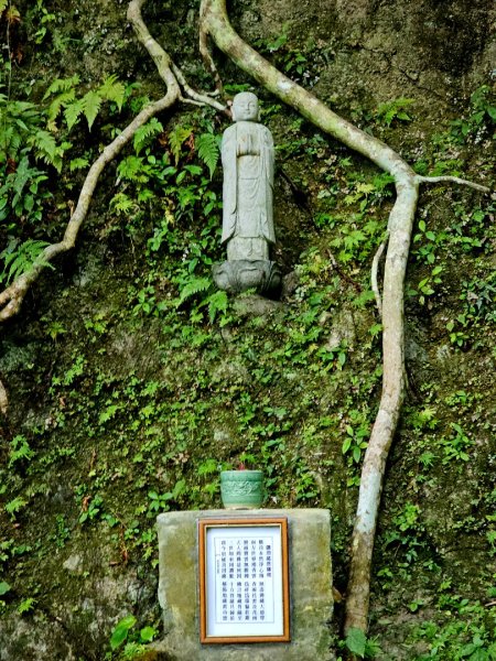 (五分山系)平溪小黃山-2025微笑山線大縱走尋寶集章任務2855288