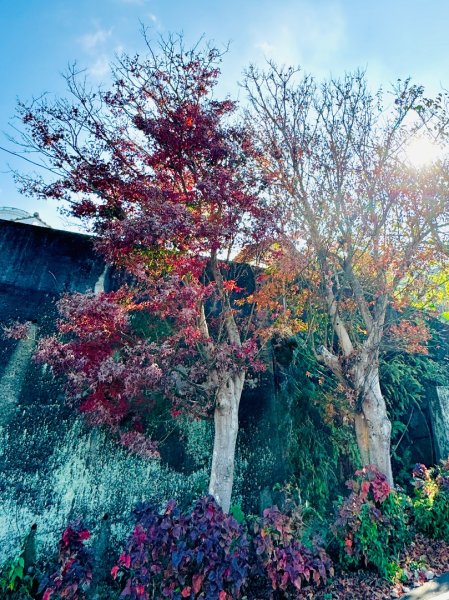 烏山縱走中段:龍湖寺-金光山財神廟-縱走石松子山2984590