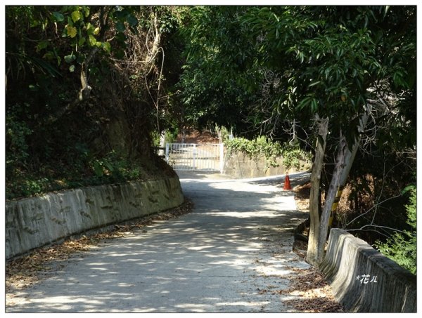 坪林山/台中-太平1283404