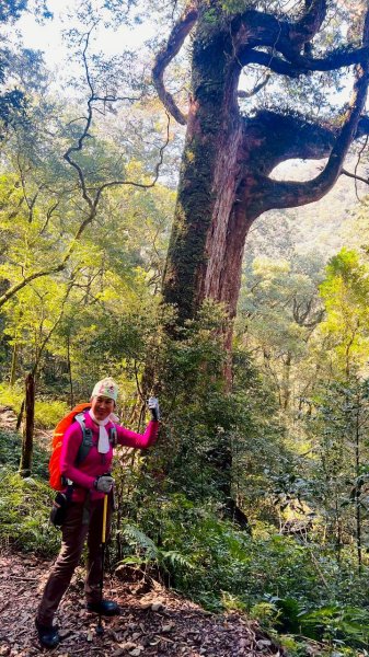 🌈3/14（六）赫威神木群+赫威山✨FB：熊熊趴爬走🌈3015387