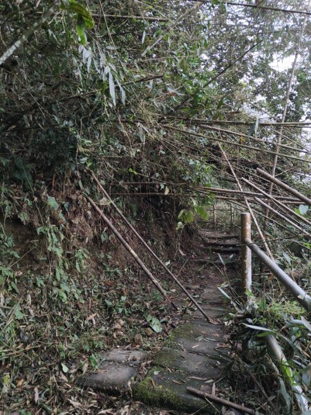 2023.12.24 大湖尖山2838741