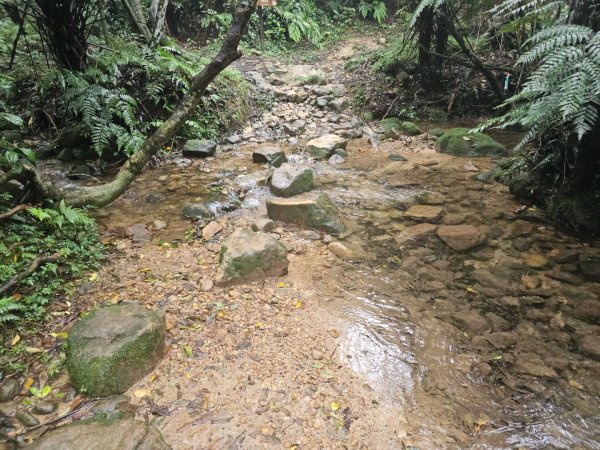 2025臺北大縱走第四段：風櫃口至中華科技大學2973489