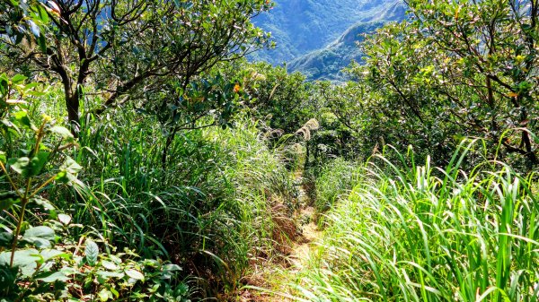 龍脊上的呼吸 (劍龍稜)2993665