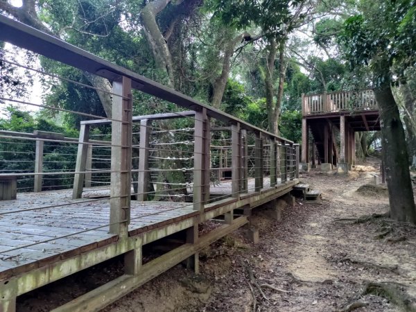 【新竹縣峨嵋鄉】藤坪步道2833249