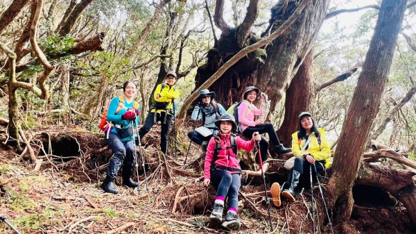 🌈12/18（三）魔法森林-塔曼山~網美打卡-巴陵鐵塔🌈2671881