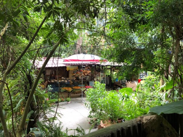 達娜伊谷走里美避難歩道、巨石坂步道690785