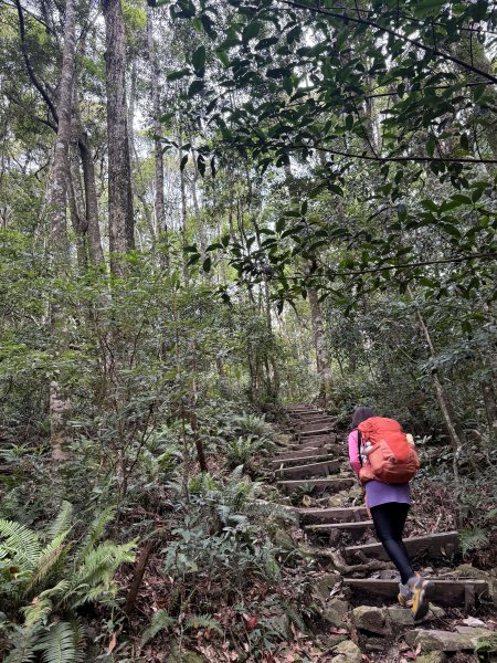 鳶嘴山+稍來神木 202508302873847