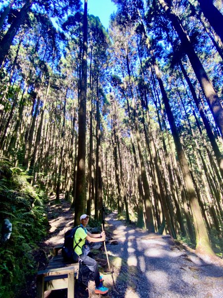 橫嶺山步道泡茶趣    2024/7/42547136