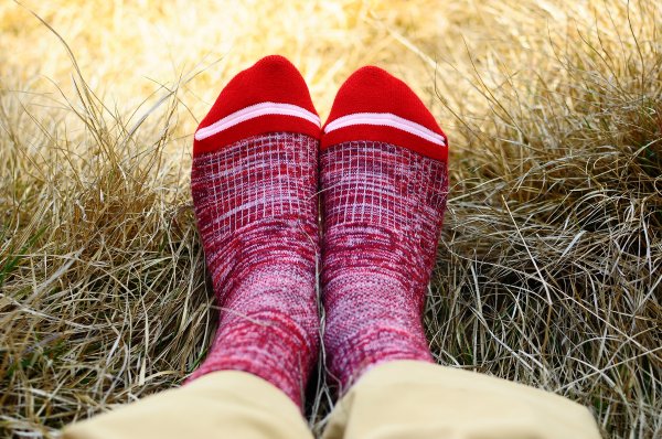 武法奈尾山天巒池872538