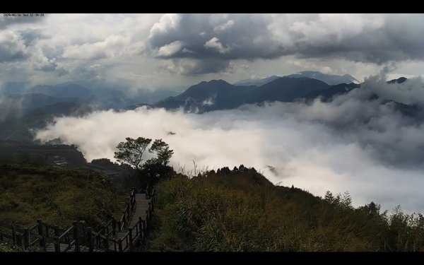 阿里山雲瀑&雲海/富士山直播即時視訊837590