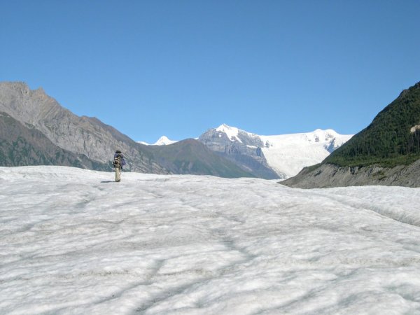 阿拉斯加 Root Glacier 步道2636025