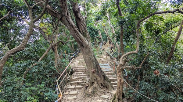 【台灣健行】台中天際線、南觀音山2695745