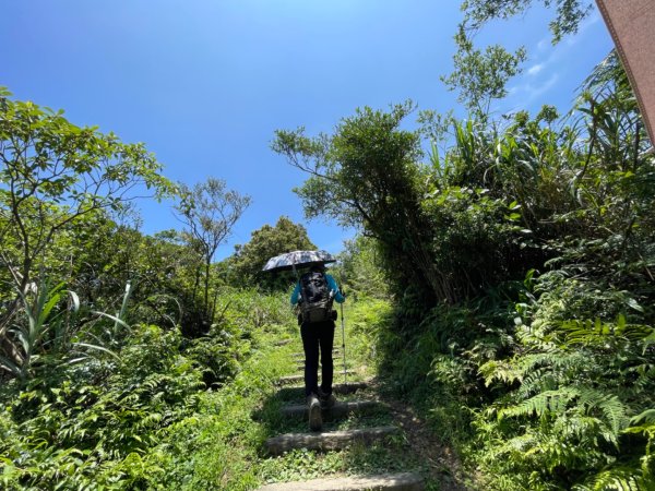 1140531姜子寮山。泰安瀑布。潮境公園2800961