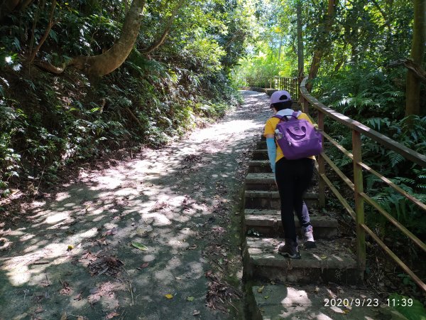 更寮古道(土庫岳)+栳寮古道O形線1110810