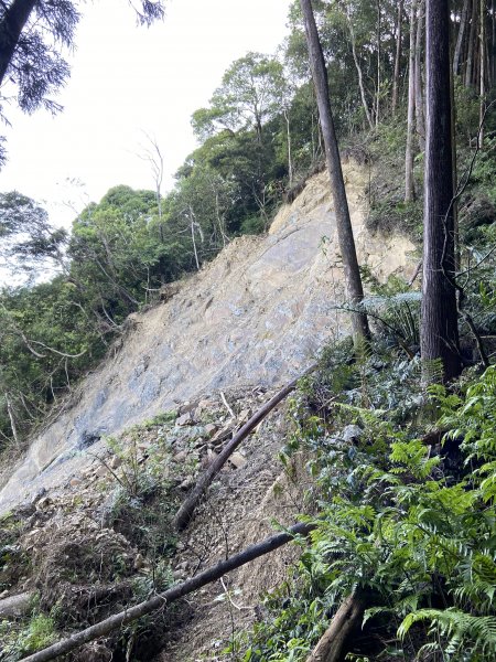 蓮包山、外鳥嘴山、那結山、貴妃山、水田林道O 型縱走1672734