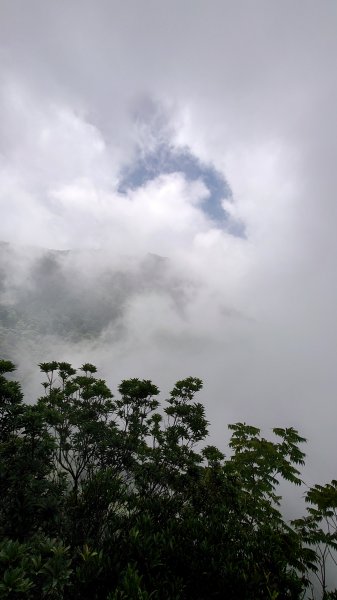  步道巡訪員 l 北得拉曼步道6月巡訪日誌1016113