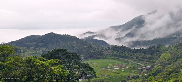 陽明山追雲趣 #天空之城 #石門嵩山梯田 #鳶尾花 #老梅綠石槽 4/5-63030192