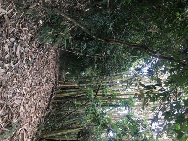 糖子恩山（鐵谷山宮2752030