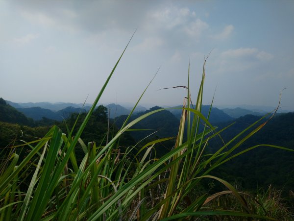 霧峰奧山桐林山步道群通爬860257