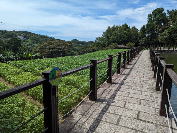 2023-08-26 臺北大縱走第七段2792852