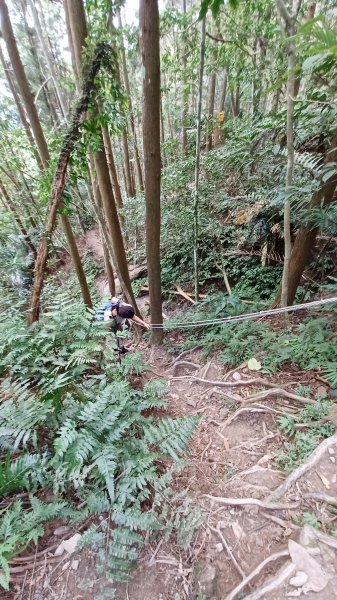 【苗栗南庄】向天湖山光天高山小O繞2933175