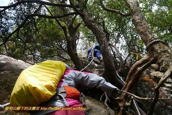 【桃園】那結山 (那是山)