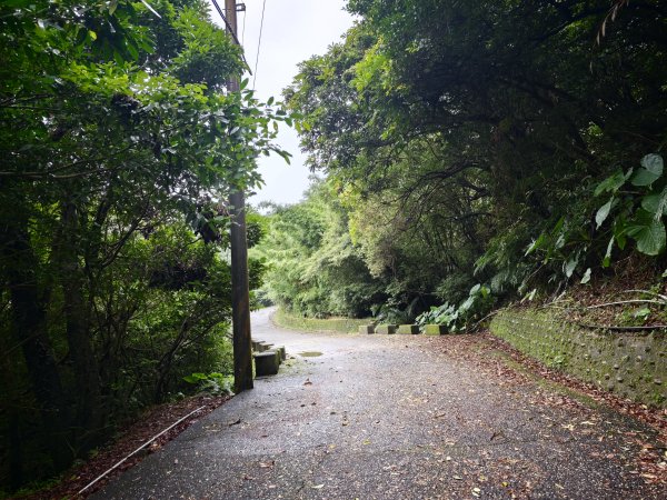 [淡蘭古道] 2026_0614 北路第三段_道路3075526