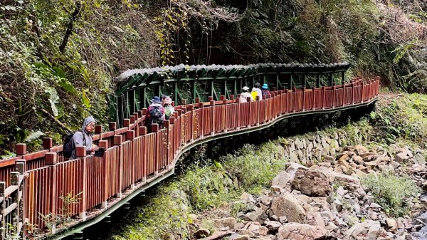 🌈2/7（六）-2/8（日）上帝部落~司馬庫斯神木2日深度之旅✨FB：熊熊趴爬走🌈🌈2995156