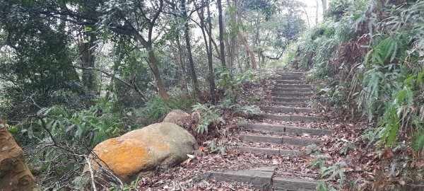 《苗栗》霧雨寒流｜三義三角山步道202512252969205