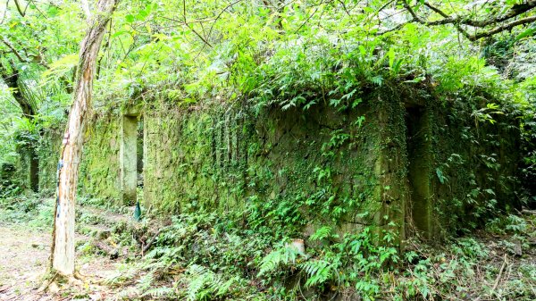 雙溪下坑古道2859479