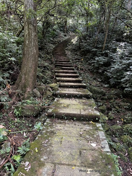 微笑山線【五分山系】菁桐煤礦段＋平溪小黃山段2906707