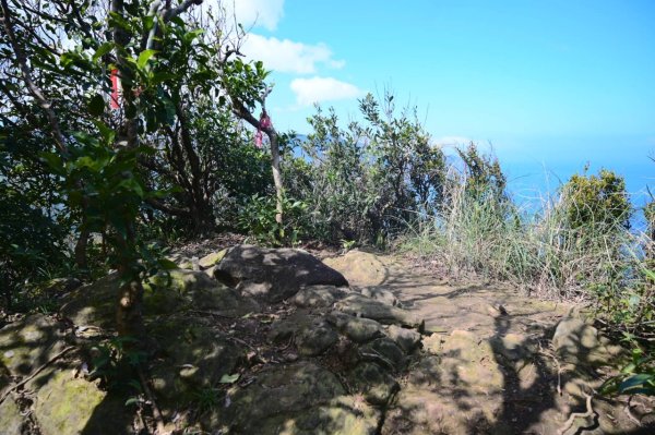 20250228西九份坑山-九份坑山-觀日峰-新厝山-火炎山-美艷山2722420