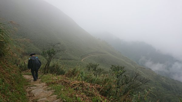 20181020聖母步道-三角崙山441947