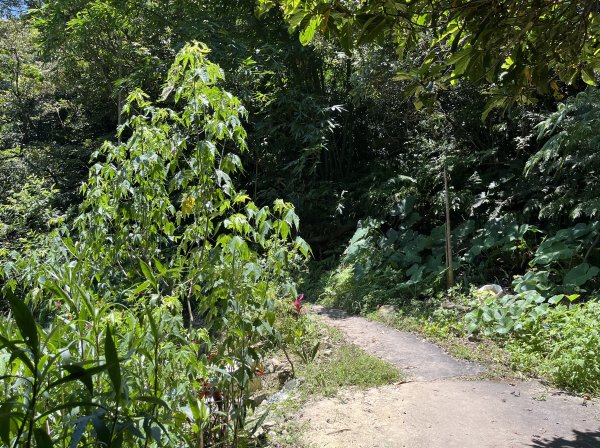 [跟著2025雙北世壯運探索雙北市-7/21] 2025_0615 疾風足球道（輔仁大學－明志路二段2814974