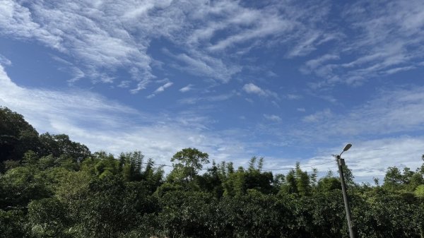 20250803枋山坑古道2850497