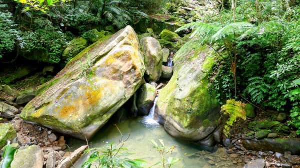 暖東峽谷大環小環2834418