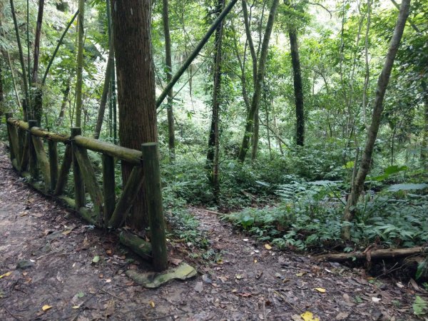 馬那邦山（天然湖起登）1019725