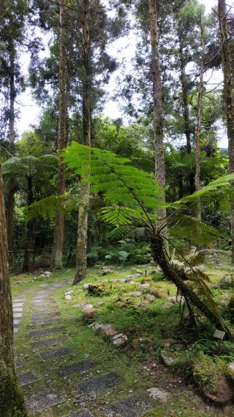 福山植物園1091009