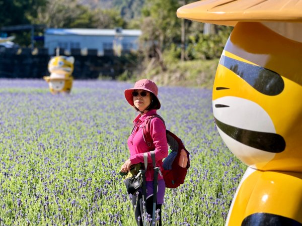 鳴鳳山-錫隘古道大O繞-202601252991399
