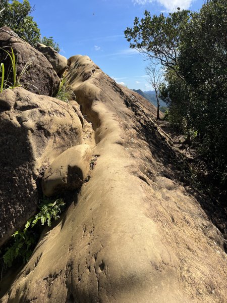 [微笑山線_第九段] 2025_0914 二格山系_皇帝殿東峰2889486