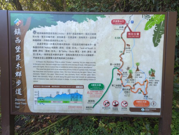 2026.01.03－鎮西堡B區神木群2981120