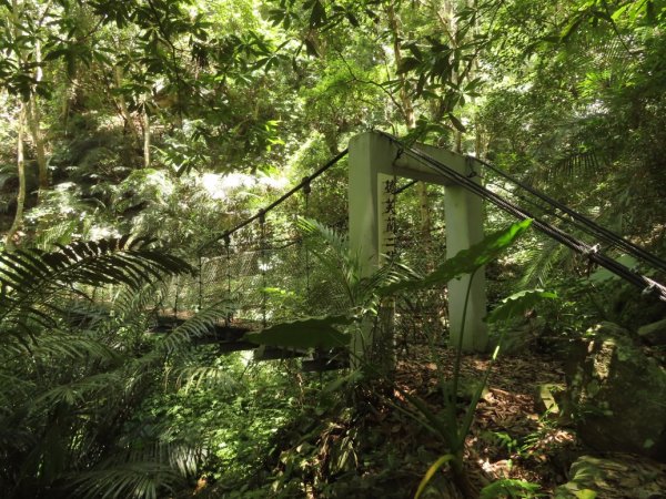 德芙蘭生態步道O形2829450