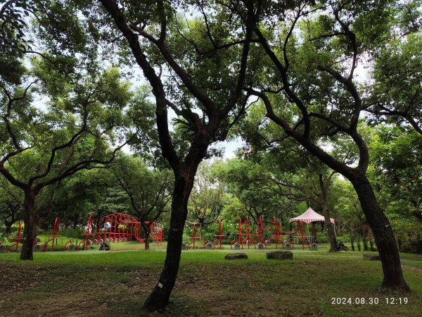 大安森林公園、大港墘公園【走路趣尋寶】【臺北健走趣】2584918